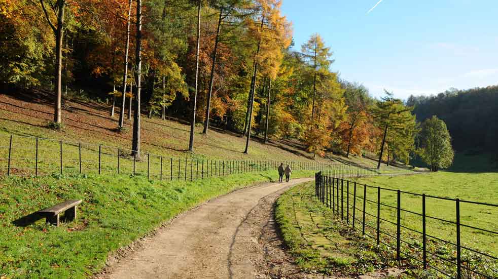 Best autumn walks in the UK Woodchester Park